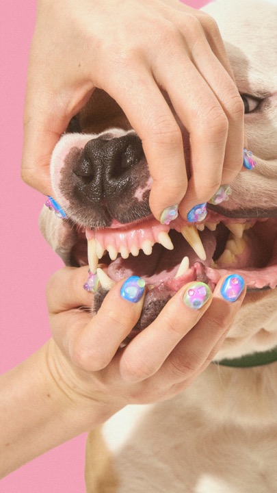 Beauty Studio – photography by Michael Kort
