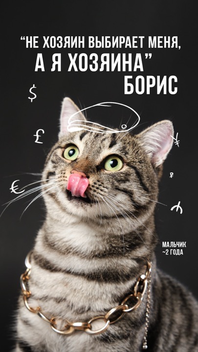 Animal Shelter – photography by Michael Kort