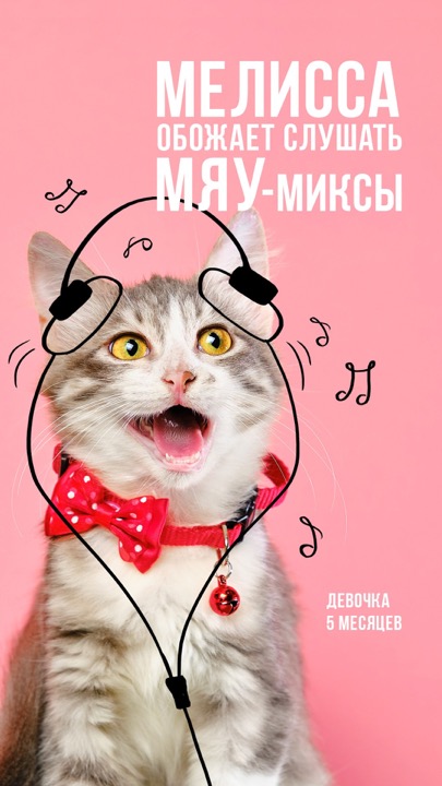 Animal Shelter – photography by Michael Kort