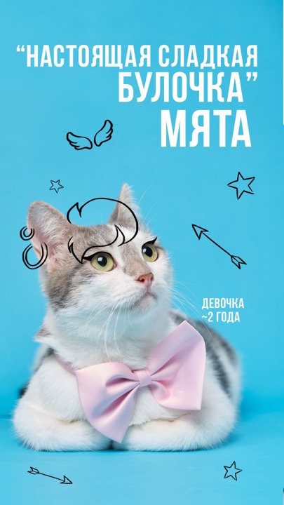 Animal Shelter – photography by Michael Kort